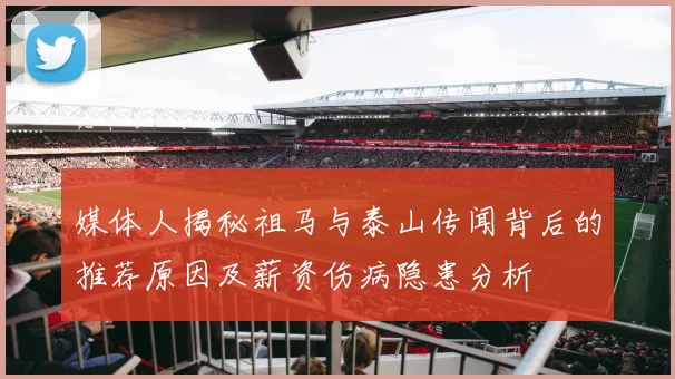 媒体人揭秘祖马与泰山传闻背后的推荐原因及薪资伤病隐患分析